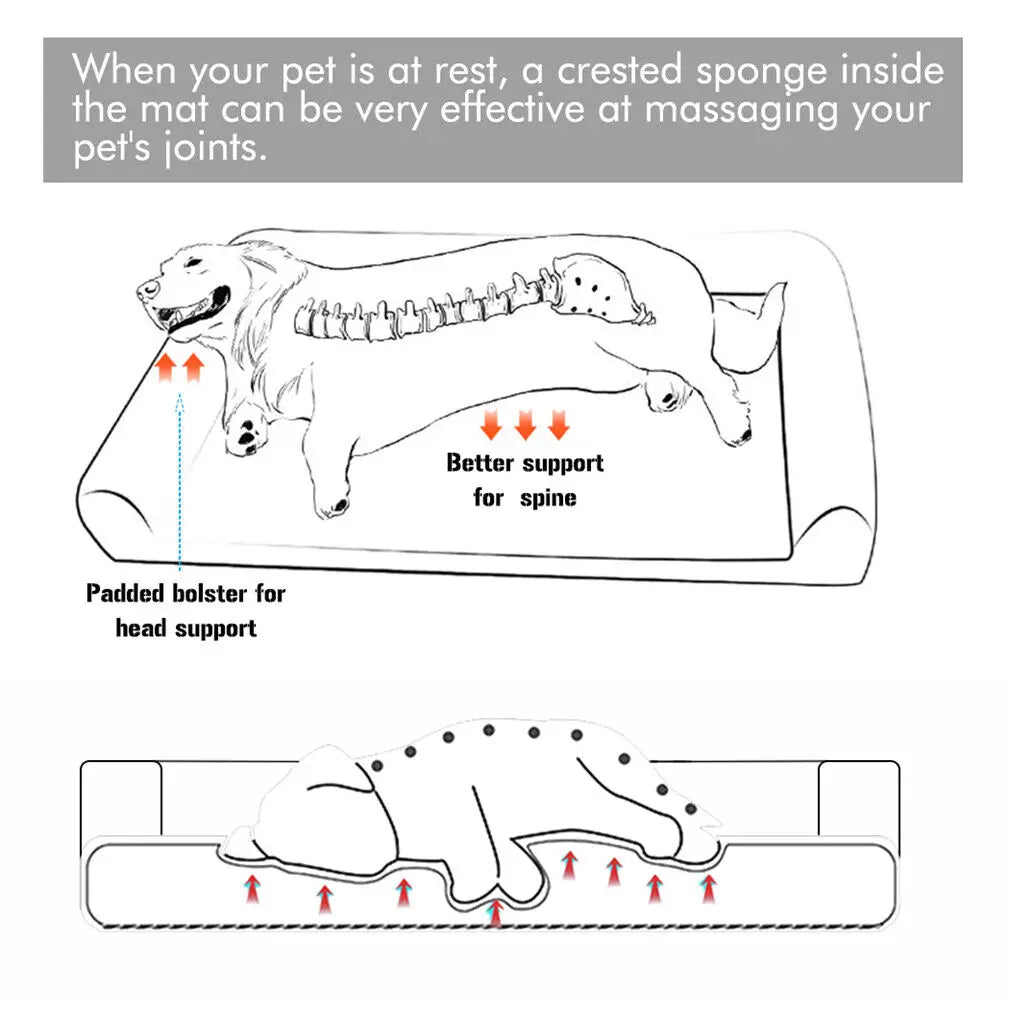Orthopedic Dog Bed – Extra Large with Washable Cover