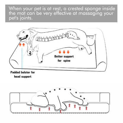 Orthopedic Dog Bed – Extra Large with Washable Cover