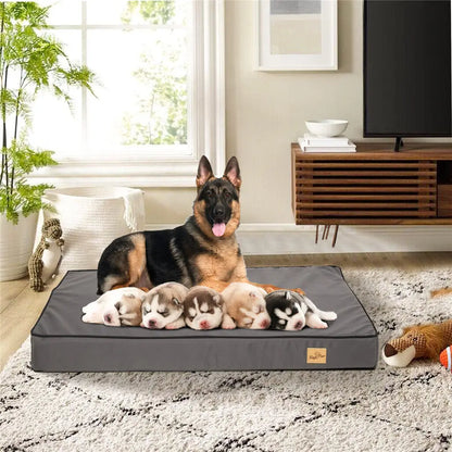 Jumbo Dog Bed – Memory Foam with Washable Waterproof Cover