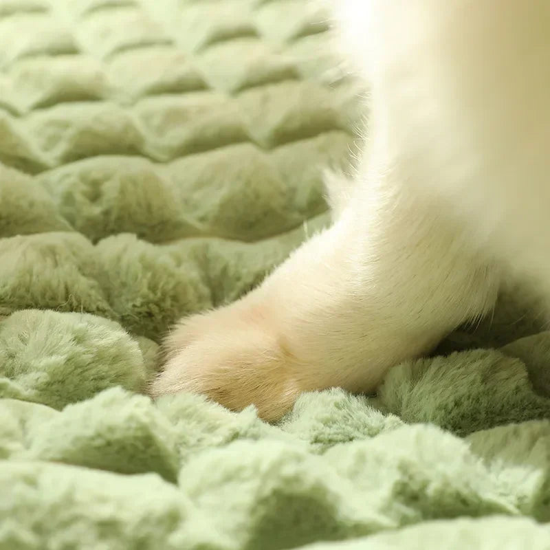 Pet Dog Bed Mat – Detachable Soft House for All Sizes